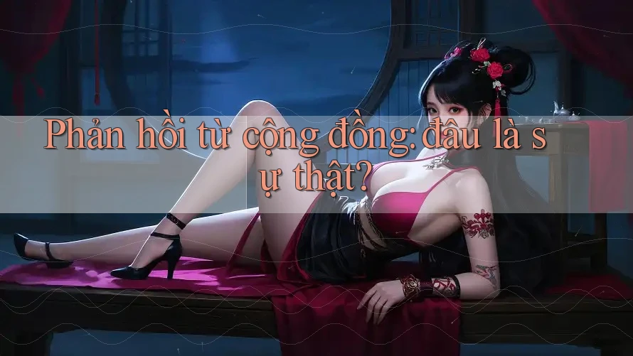 Phản hồi từ cộng đồng – đâu là sự thật? Phản hồi từ cộng đồng – đâu là sự thật?